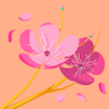 ballet_nerd13